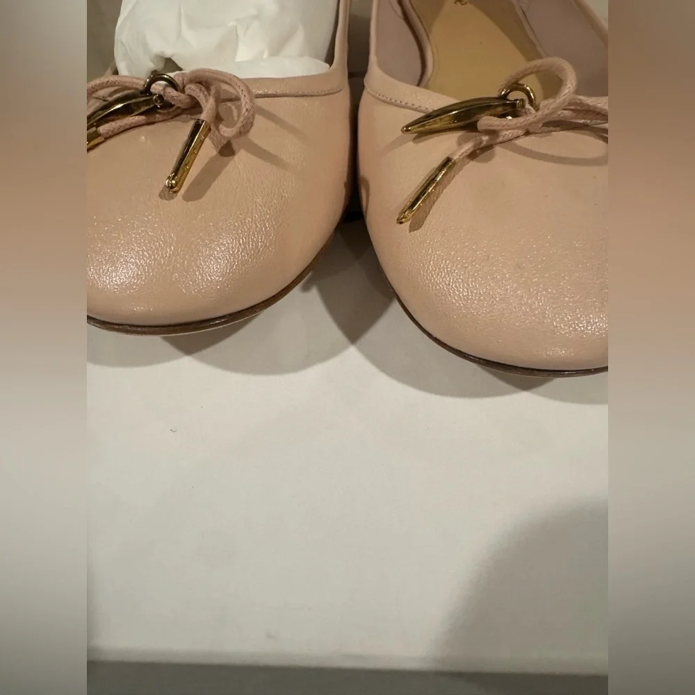 Chloé Iris leather ballet flats. Pink Blush. Size 41 New in Box. Authentic